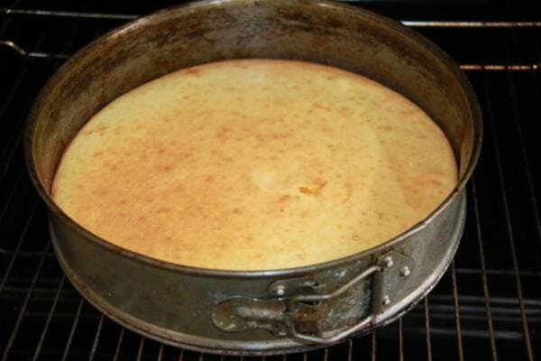 Рецепт творожного торта с персиками без выпечки на бисквите